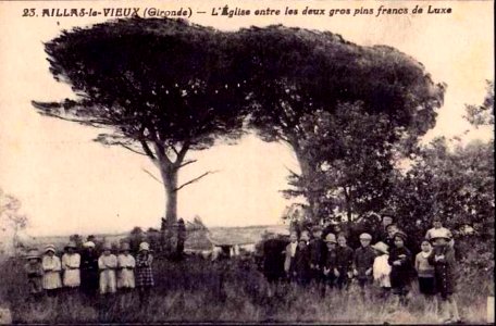 Aillas - église et pins
