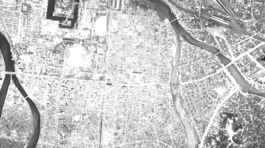 Aioi dori Avenue 194704