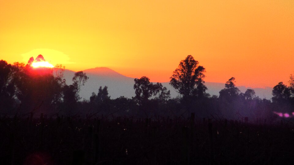 Sun nature field photo