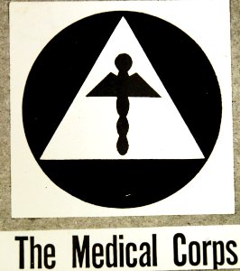 Air Raid Protective Services, Medical Corps insignia (34573243026)