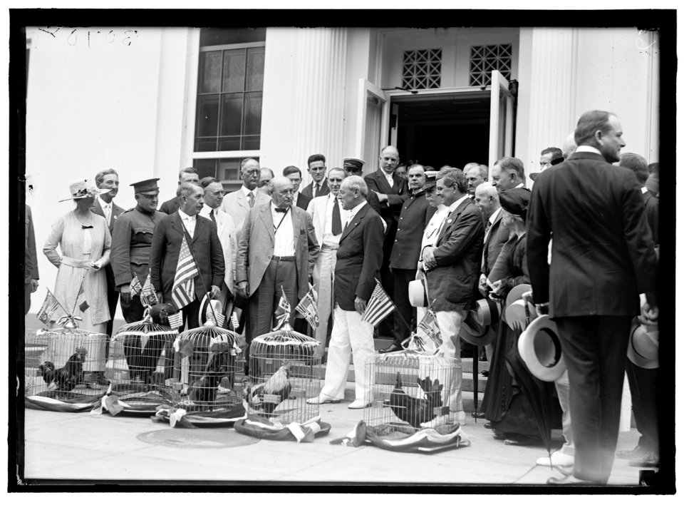ALABAMANS. ROOSTERS BEING PRESENTED TO ALABAMA CITIZENS AT WHITE HOUSE. REP. EDWARD BERTON ALMON, 4TH FROM LEFT; J.H. BANKHEAD, LEFT OF WILSON, FRONT; WILLIAM BROCKMAN BANKHEAD, RIGHT REAR; LCCN2016870287