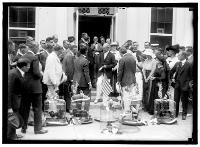 ALABAMANS. ROOSTERS BEING PRESENTED TO ALABAMA CITIZENS AT WHITE HOUSE. REP. EDWARD BERTON ALMON, 4TH FROM LEFT; J.H. BANKHEAD, LEFT OF WILSON, FRONT; WILLIAM BROCKMAN BANKHEAD, RIGHT REAR; LCCN2016870288