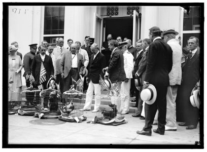 ALABAMANS. ROOSTERS BEING PRESENTED TO ALABAMA CITIZENS AT WHITE HOUSE. REP. EDWARD BERTON ALMON, 4TH FROM LEFT; J.H. BANKHEAD, LEFT OF WILSON, FRONT; WILLIAM BROCKMAN BANKHEAD, RIGHT REAR; LCCN2016870289