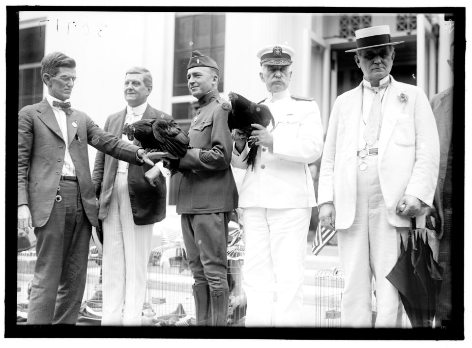 ALABAMANS. ROOSTERS BEING PRESENTED TO ALABAMA CITIZENS AT WHITE HOUSE. VIEWS OF PRESENTATION. REP. OLIVER 2ND FROM LEFT; ADMIRAL BENSON AND CHAMP CLARK, RIGHT LCCN2016870295