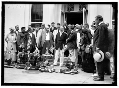 ALABAMANS. ROOSTERS BEING PRESENTED TO ALABAMA CITIZENS AT WHITE HOUSE. VIEWS OF PRESENTATION LCCN2016870294