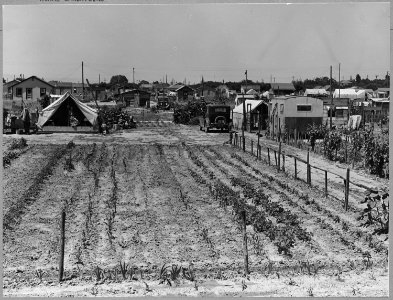 Airport tract, near Modesto, Stanislaus County, California. Shows the other side of Conejo Street... . . . - NARA - 521628 photo