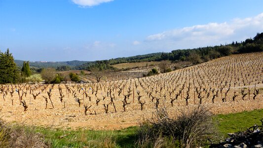 Landscape outdoor no person