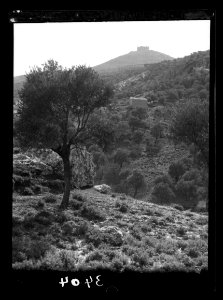 Ajlun District. Kalaat Er-Rabad. Distant view of Ajlun castle LOC matpc.15322