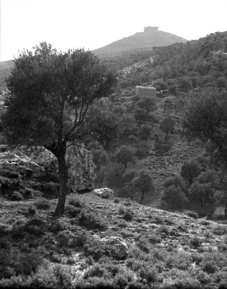 Ajlun District. Kalaat Er-Rabad. Distant view of Ajlun castle LOC matpc.15322