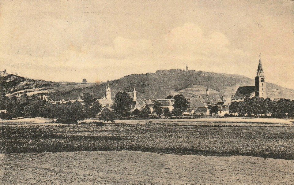 AK - Neumarkt - Stadtpanorama von Westen - um 1913