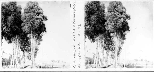 Al canal de Sant Boi de Llobregat photo