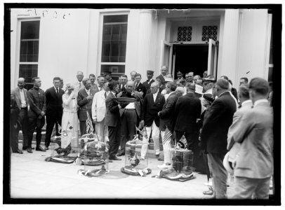 ALABAMANS. ROOSTERS BEING PRESENTED TO ALABAMA CITIZENS AT WHITE HOUSE LCCN2016870291