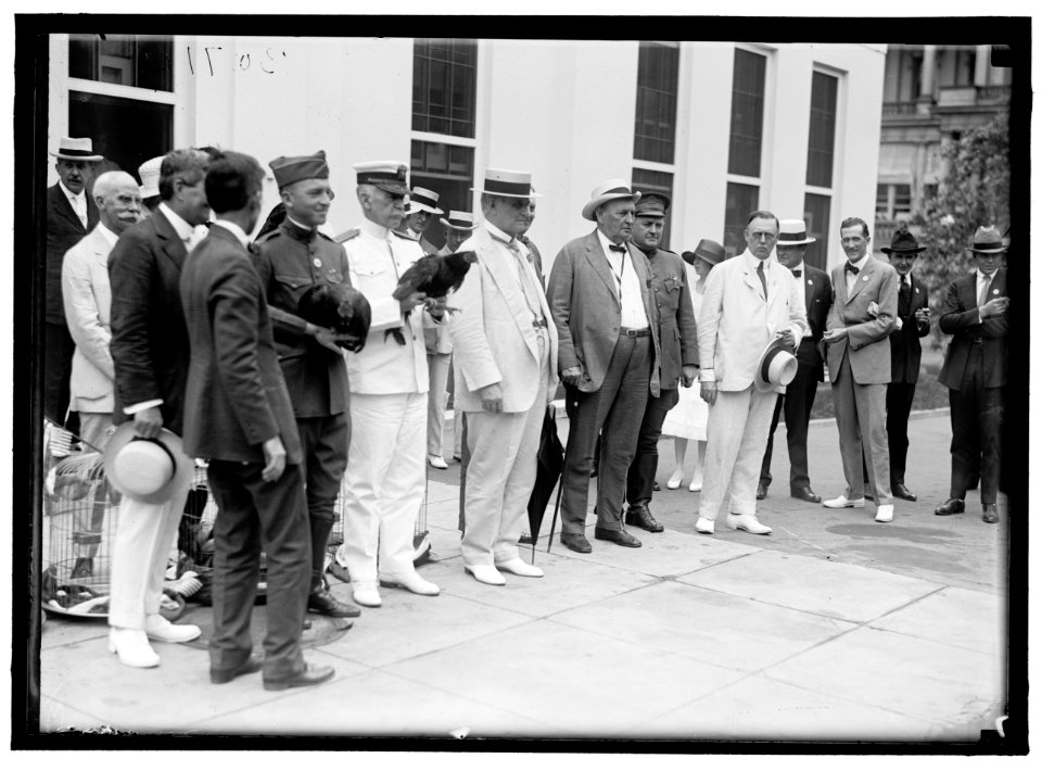 ALABAMANS. ROOSTERS BEING PRESENTED TO ALABAMA CITIZENS AT WHITE HOUSE. AT CENTER- ADMIRAL BENSON, CHAMP CLARK, J.H. BANKHEAD LCCN2016870293