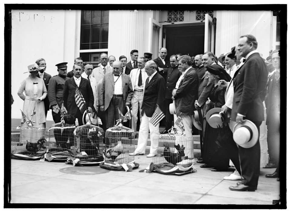 ALABAMANS. ROOSTERS BEING PRESENTED TO ALABAMA CITIZENS AT WHITE HOUSE. REP. EDWARD BERTON ALMON, 4TH FROM LEFT; J.H. BANKHEAD, LEFT OF WILSON, FRONT; WILLIAM BROCKMAN BANKHEAD, RIGHT REAR; LCCN2016870286