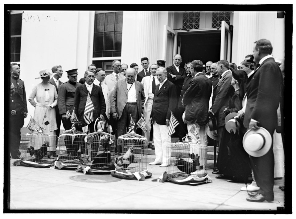 ALABAMANS. ROOSTERS BEING PRESENTED TO ALABAMA CITIZENS AT WHITE HOUSE. REP. EDWARD BERTON ALMON, 4TH FROM LEFT; J.H. BANKHEAD, LEFT OF WILSON, FRONT; WILLIAM BROCKMAN BANKHEAD, RIGHT REAR; LCCN2016870285
