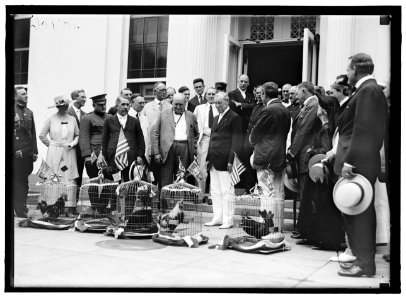 ALABAMANS. ROOSTERS BEING PRESENTED TO ALABAMA CITIZENS AT WHITE HOUSE. REP. EDWARD BERTON ALMON, 4TH FROM LEFT; J.H. BANKHEAD, LEFT OF WILSON, FRONT; WILLIAM BROCKMAN BANKHEAD, RIGHT REAR; LCCN2016870285