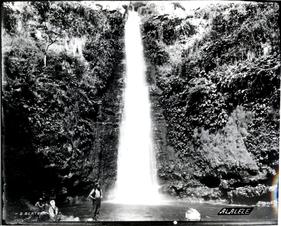 Alalele, photograph by Brother Bertram