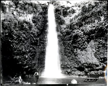 Alalele, photograph by Brother Bertram