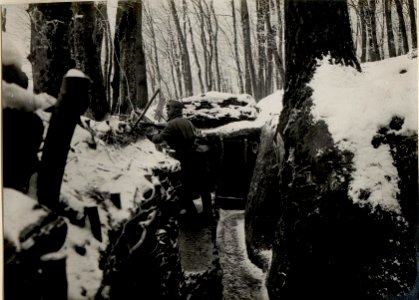 Alarmposten südl. Kuropatniki. (BildID 15529661)