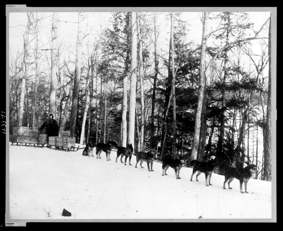 Alaska-Freighting with dog teams LCCN99471780
