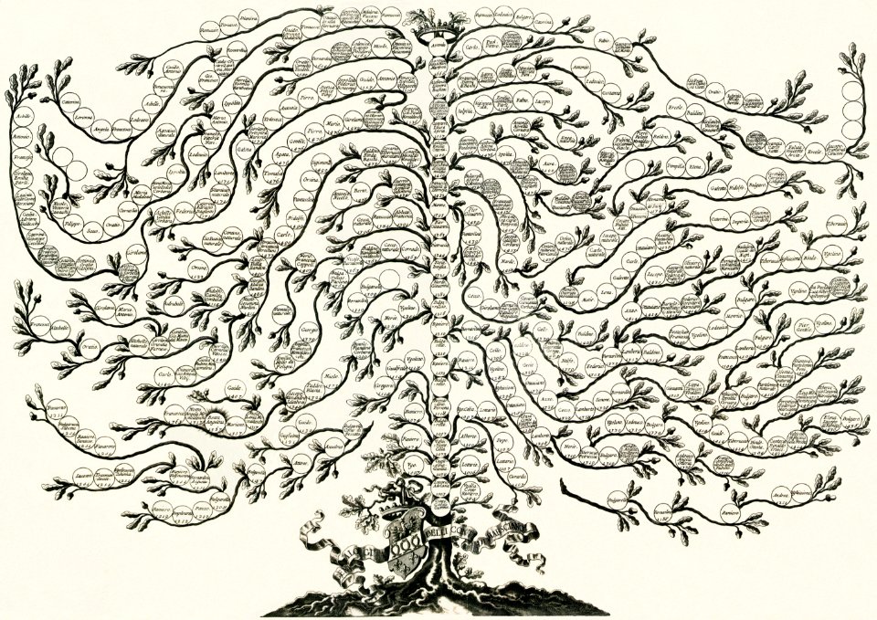 Albero genealogico marsciano ughelli