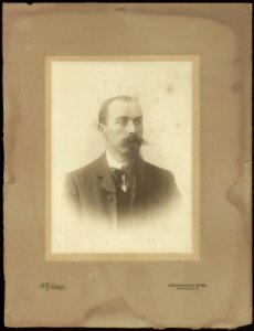 Albert Greiner Afb ANWN00383000001