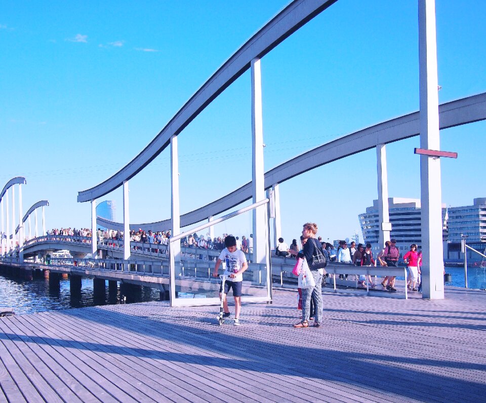 Boardwalk wood dock