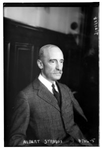 Albert Strauss LCCN2014707688