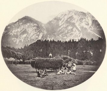 Albert, Joseph - Heuernte in den Anlagen von Schloss Hohenschwangau (Zeno Fotografie)