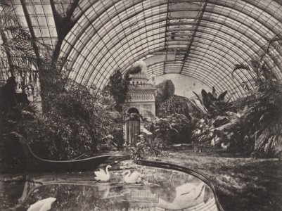 Albert, Joseph - München, Residenz – Wintergarten König Ludwigs II., nach Westen (Zeno Fotografie)