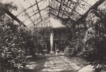 Albert, Joseph - München, Residenz – Wintergarten König Maximilians II. (Zeno Fotografie)