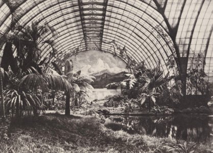 Albert, Joseph - München, Residenz – Wintergarten König Ludwigs II., nach Osten (Zeno Fotografie)