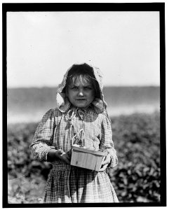 Alberta McNadd on Chester Truitt's farm at Cannon, Del. Alberta is 5 years of age and has been picking berries since she was 3. Her mother volunteered the information that she picks steadily LOC nclc.05328 photo