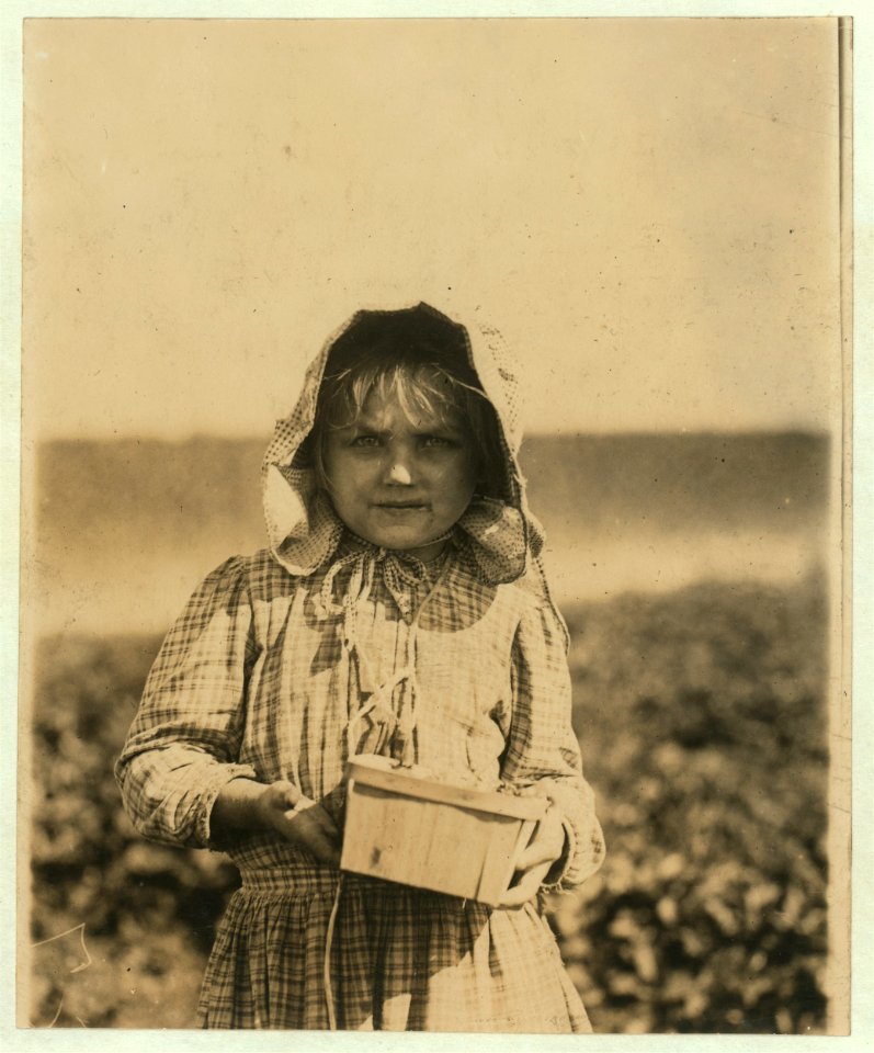 Alberta McNadd on Chester Truitt's farm at Cannon, Del. Alberta is 5 years of age and has been picking berries since she was 3. Her mother volunteered the information that she picks steadily LOC nclc.05328