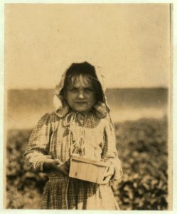 Alberta McNadd on Chester Truitt's farm at Cannon, Del. Alberta is 5 years of age and has been picking berries since she was 3. Her mother volunteered the information that she picks steadily LOC nclc.05328 photo