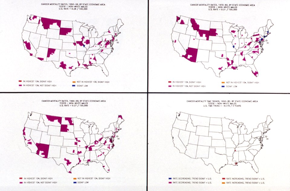 Atlas of cancer mortality among non-whites- 1950-1980
