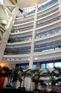 Atrium area of the clinical research center