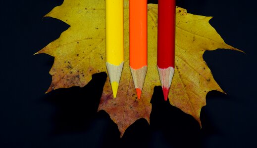 Colored pencils color colorful