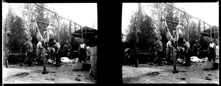 Aubercy. Centre d'achat - Fonds Berthelé - 49Fi438