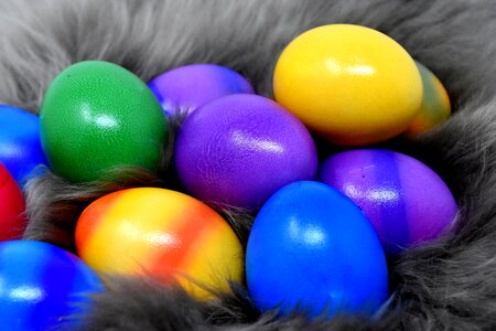 Happy easter egg colored