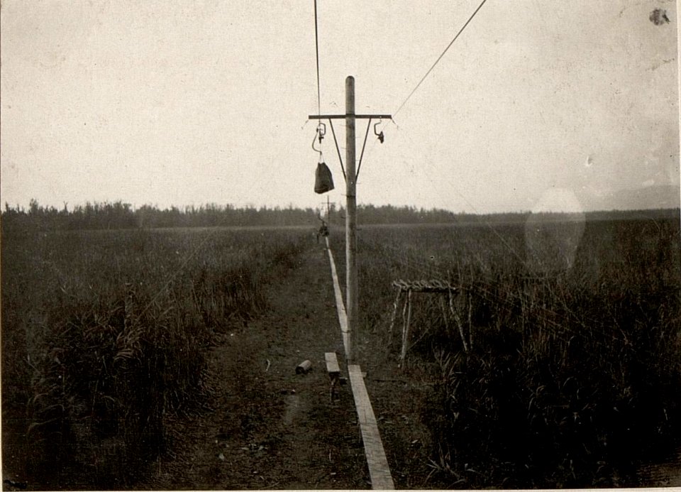 Auf der Drahtseilbahn durch die Sümpfe westl.Mamuras. (BildID 15531695)