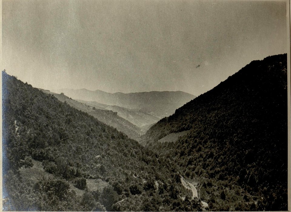 Auf der Fahrt über den Veliki Balkan zwischen Platchkovitzi und Tulovo (BildID 15545413)