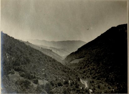 Auf der Fahrt über den Veliki Balkan zwischen Platchkovitzi und Tulovo (BildID 15545413)