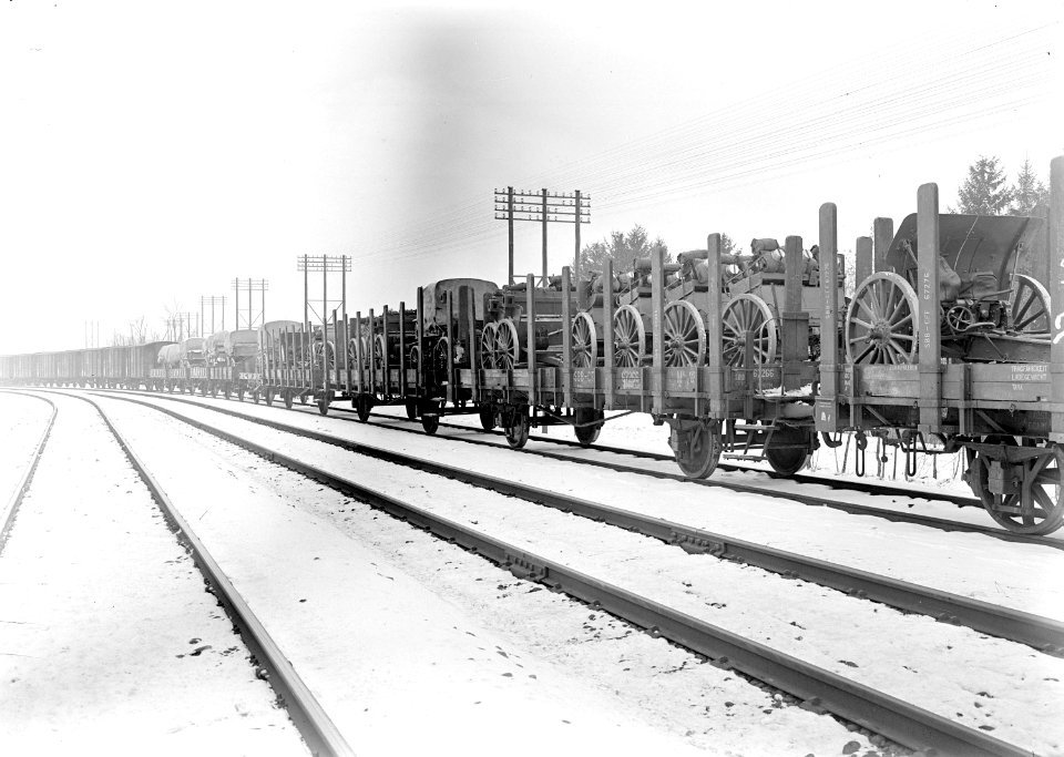 Auf der Eisenbahn verladene Geschütze - CH-BAR - 3239433