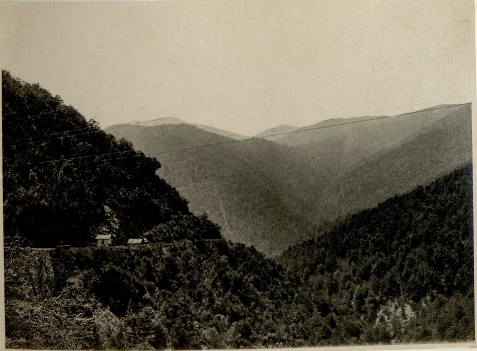 Auf der Fahrt über den Veliki Balkan zwischen Platchkovitzi und Tulovo (BildID 15545399)