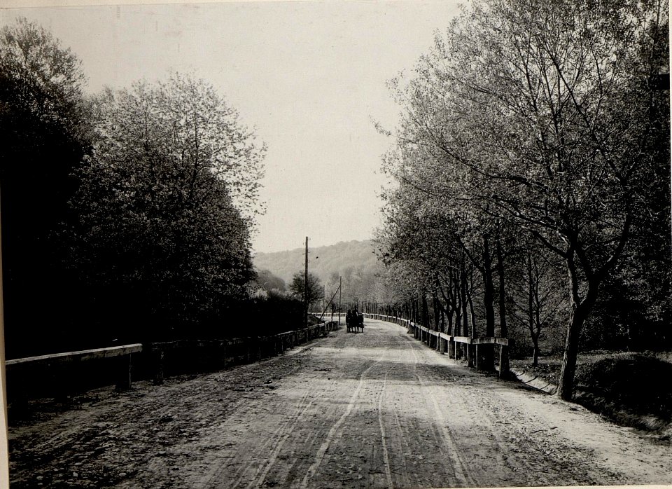 Auf der Strasse nach Brzezany Baumblüte (BildID 15529038)