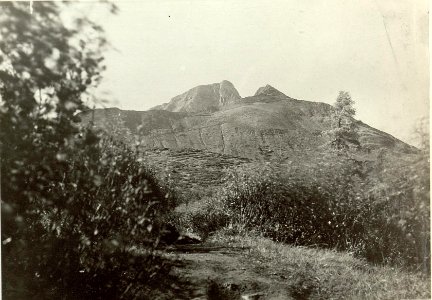 Auf halbem Wege zum P.Lodinut gegen den hohen Trieb. (BildID 15460426)