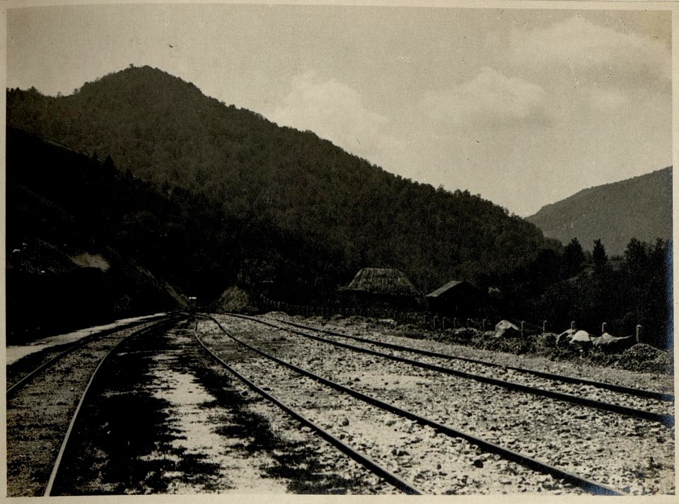 Auf der Fahrt über den Veliki Balkan zwischen Platchkovitzi und Bereuchtitza (BildID 15545385)