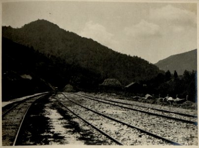 Auf der Fahrt über den Veliki Balkan zwischen Platchkovitzi und Bereuchtitza (BildID 15545385)