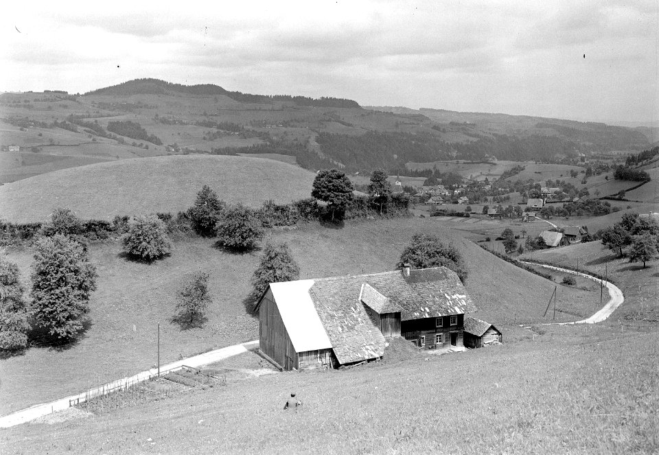 Aufnahme eines Bauernhofs im Entlebuch - CH-BAR - 3241348
